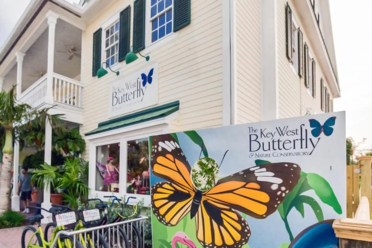 Key West Cockadoodle Cottage On Duval United States